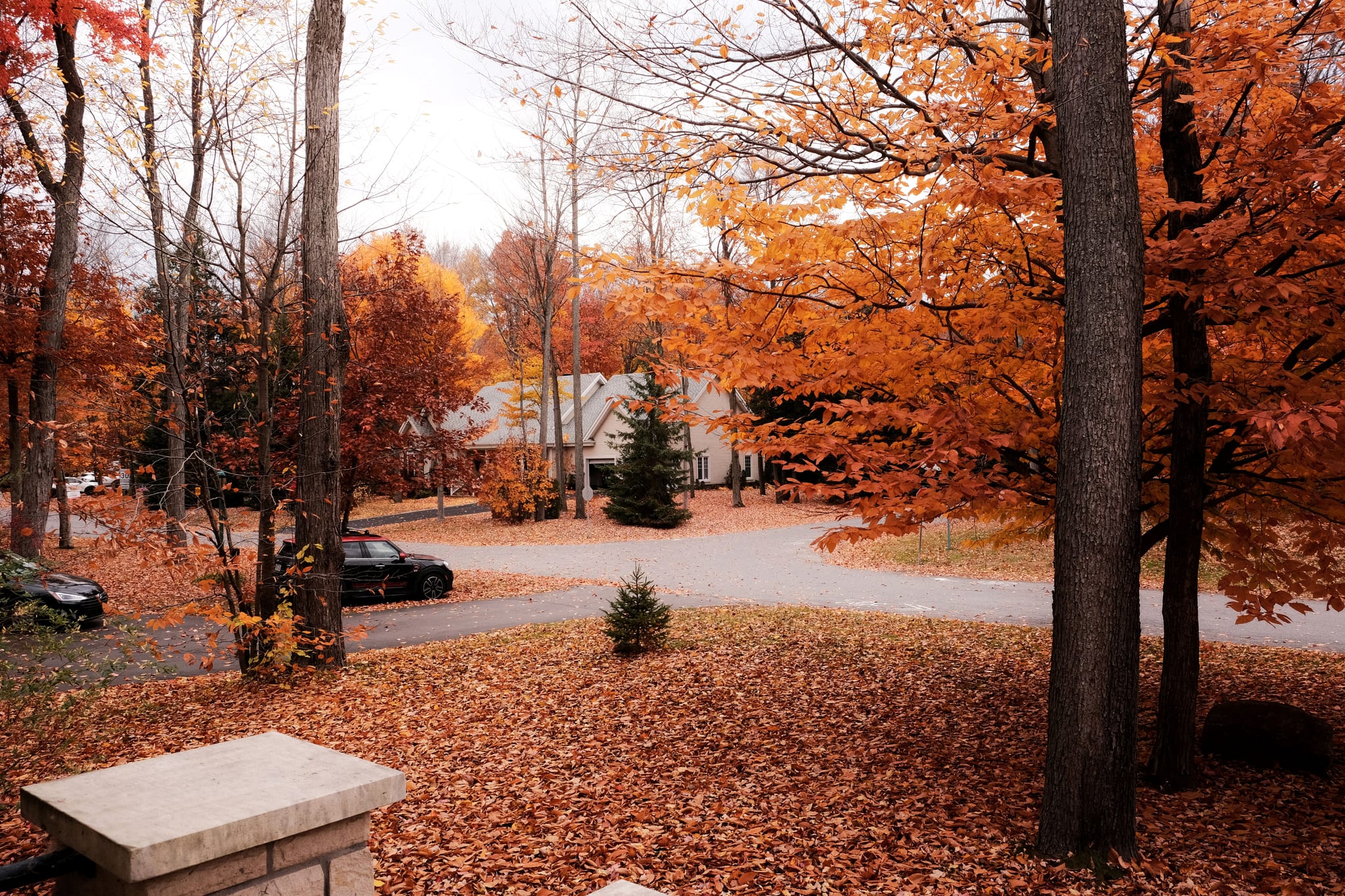 Tree-lined residential street in a leafy Portland, OR neighborhood in autumn
