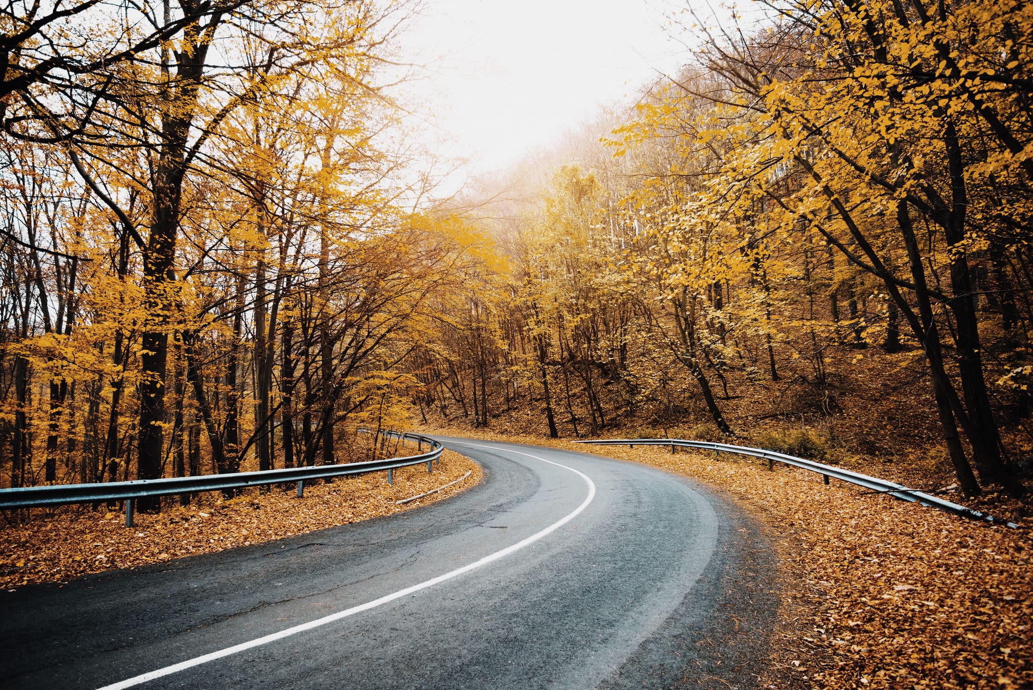 Eastmoreland in the Portland, Oregon area