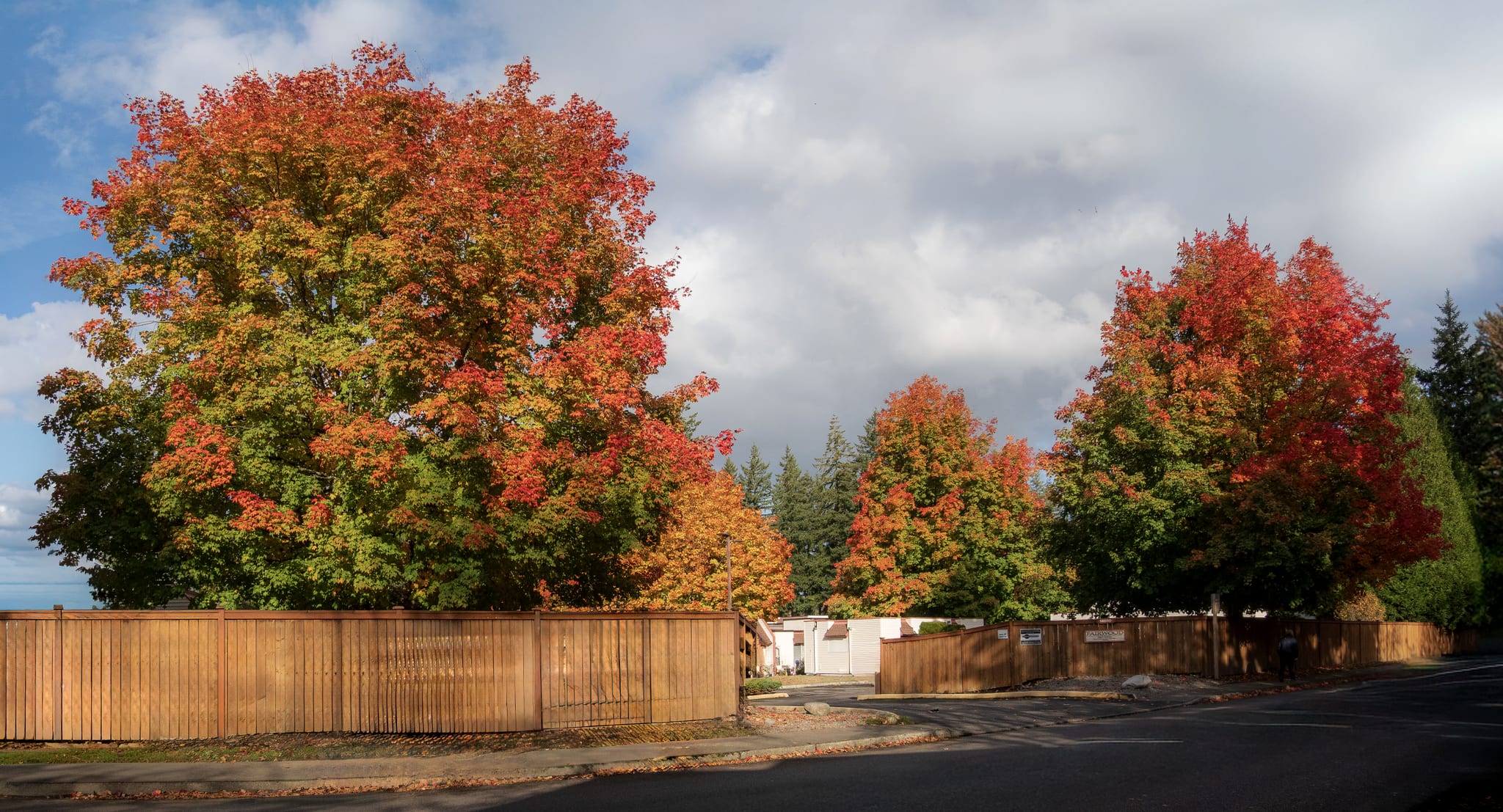 Grant Park in the Portland, Oregon area